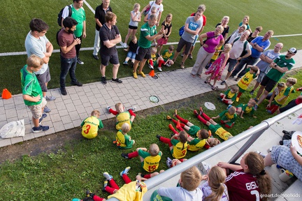 Benefiz-Fußballspiel 2017